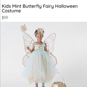 Pottery Barn Kids - Butterfly Fairy costume - Mint color 3T